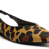 Zapato - Amelia - Leopardo